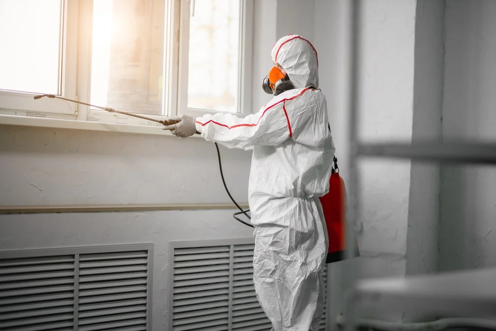 Professional mold remediation services in Port Chester, NY